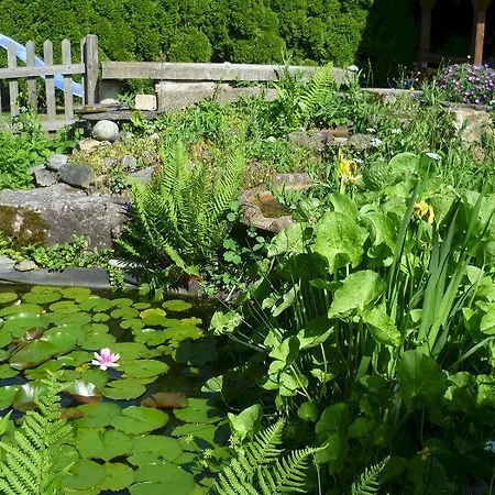 Bodensee Haus Am Geissbock ميكنبورن