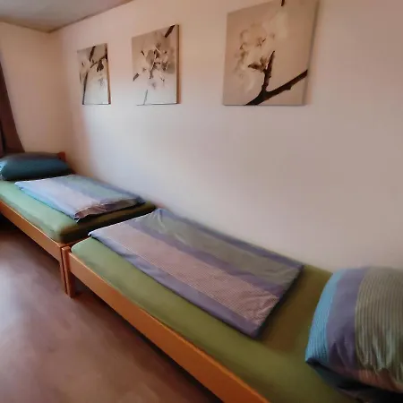 Bodensee Haus Am Geissbock Меккенбойрен